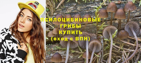 ГАЛЛЮЦИНОГЕННЫЕ ГРИБЫ Богородицк