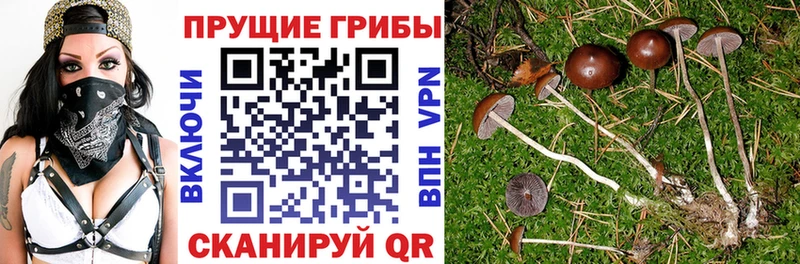 Псилоцибиновые грибы MAGIC MUSHROOMS  Бугуруслан 